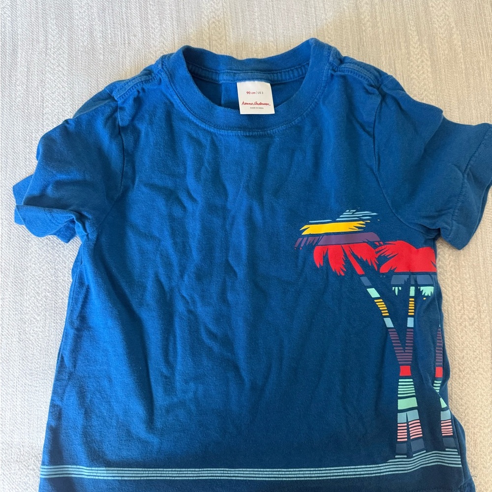 Hanna Andersson Blue Tee with Colorful Palm Graphic